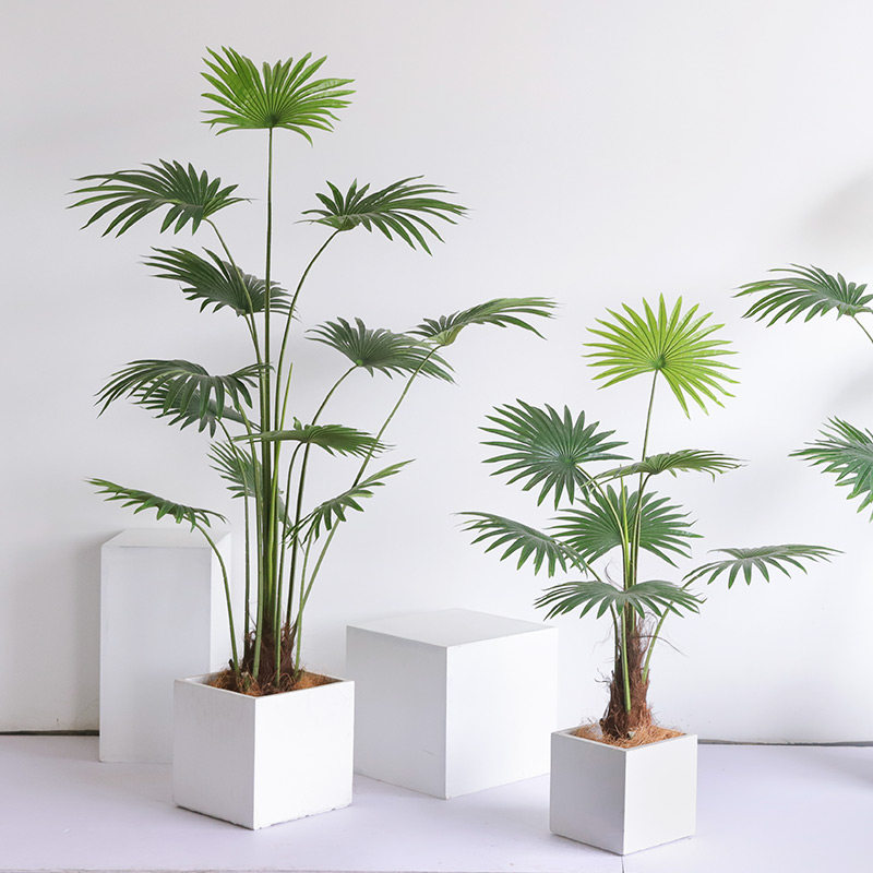 Simulation of scattered tail sunflower tiger Pilan Lansi tree palm sunflower agave large green plant INS Nordic American simple luxury