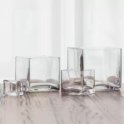 High transparent square glassware square cylinder multi-size ornaments insert green plant home accessories living room desk decoration