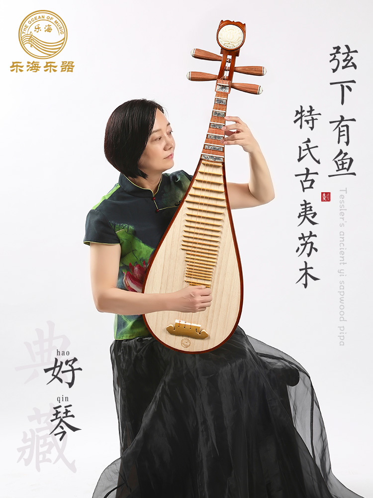 Lehai Pipa Strings have Yu Pipa Teshi Guyi Su Wood Material Exam Grade Play Pipa Instrument DJ13X