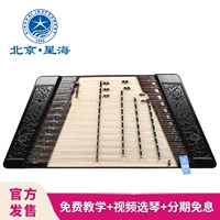 Nhạc cụ Xinghai Dulcimer 402 Yangqin Anuo Guyi Su Chất lượng gỗ Tang Fengqin Chơi Dulcimer 86215TF - Nhạc cụ dân tộc sáo huyên