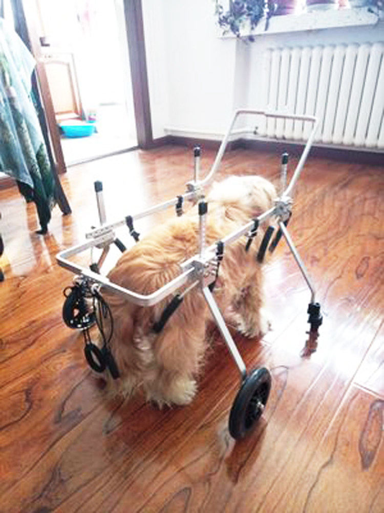 Dog Wheelchair Paralysed Large Dog Extremities Dog Wheelchair Large Dog With Physical And Mental Impairment Car Full Body Four-wheeled Dog Wheelchair