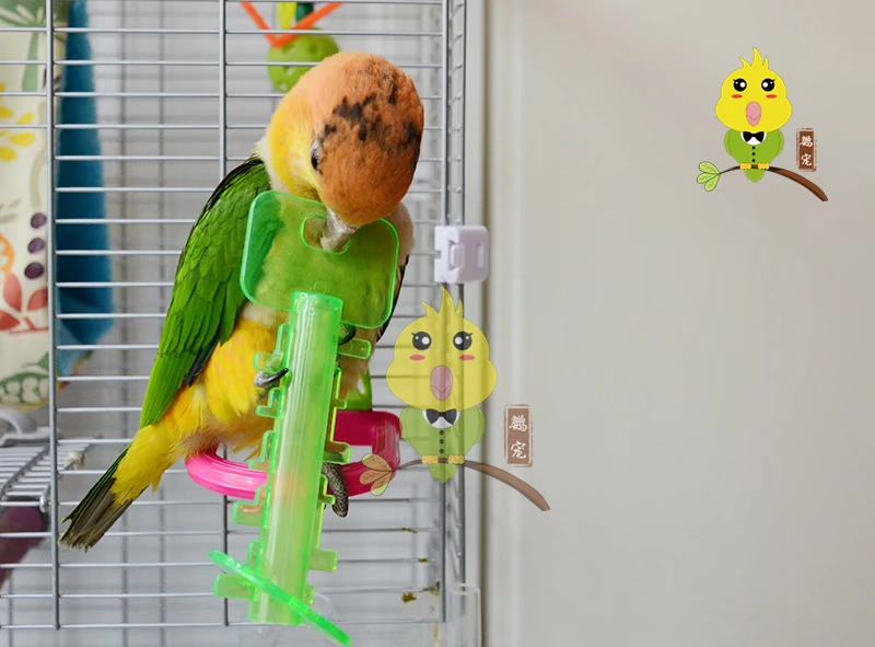 Parrot câu đố đào tạo phát triển trí tuệ tương tác đồ chơi thú cưng chim vẹt cắn tháo dỡ đồ chơi phá hủy - Chim & Chăm sóc chim Supplies lồng chim khướu