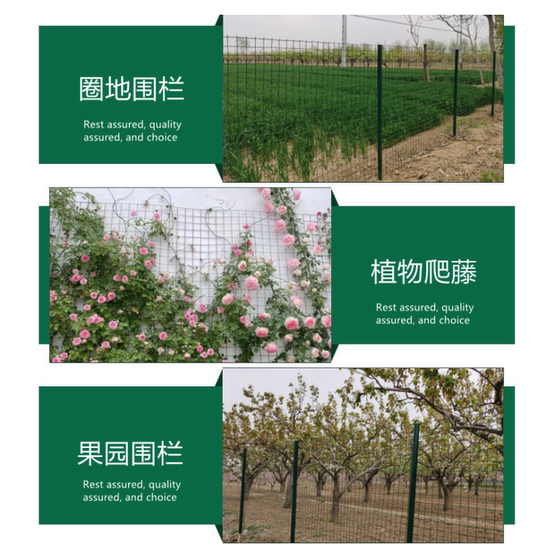 Barbed wire fence chicken breeding net Dutch net household vegetable garden orchard fence guardrail steel wire protective net outdoor