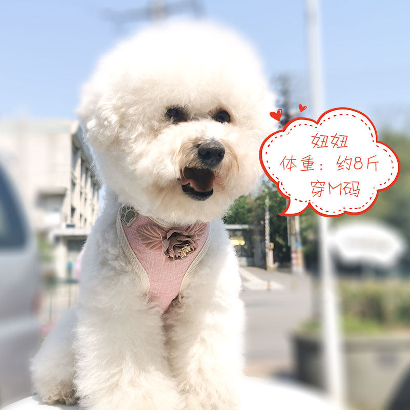 Dog traction rope vest summer breathable dog walking dog rope small dog Teddy walking dog rope 1 - 20 kg