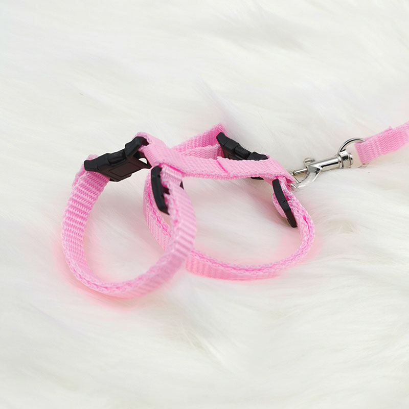 Cat special traction rope anti-breakaway tie cat traction belt cat rope young anchor chain walking cat artifact cat supplies