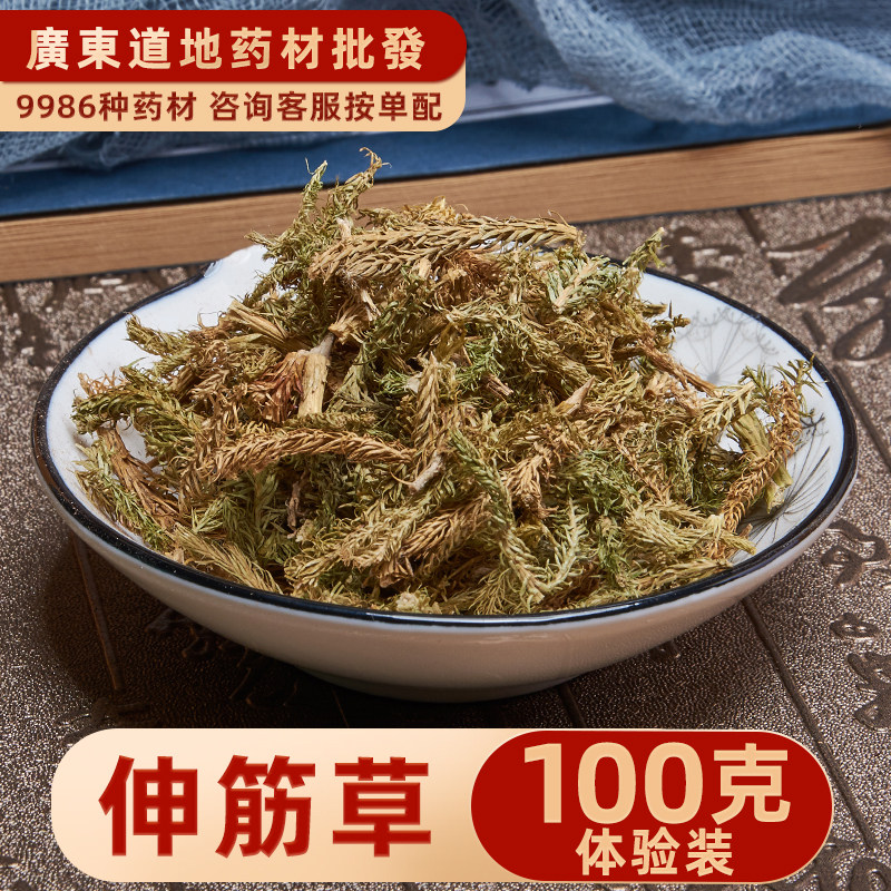 中药材店铺 精选伸筋草 舒筋草 石松狮子尾 大伸筋草 宽筋草 100g