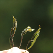 Two years Chen-Muchuan white tea 2020 Spring tea Sichuan Daily Sun Mountain white tea 125 gr kraft paper bag Jane clothing