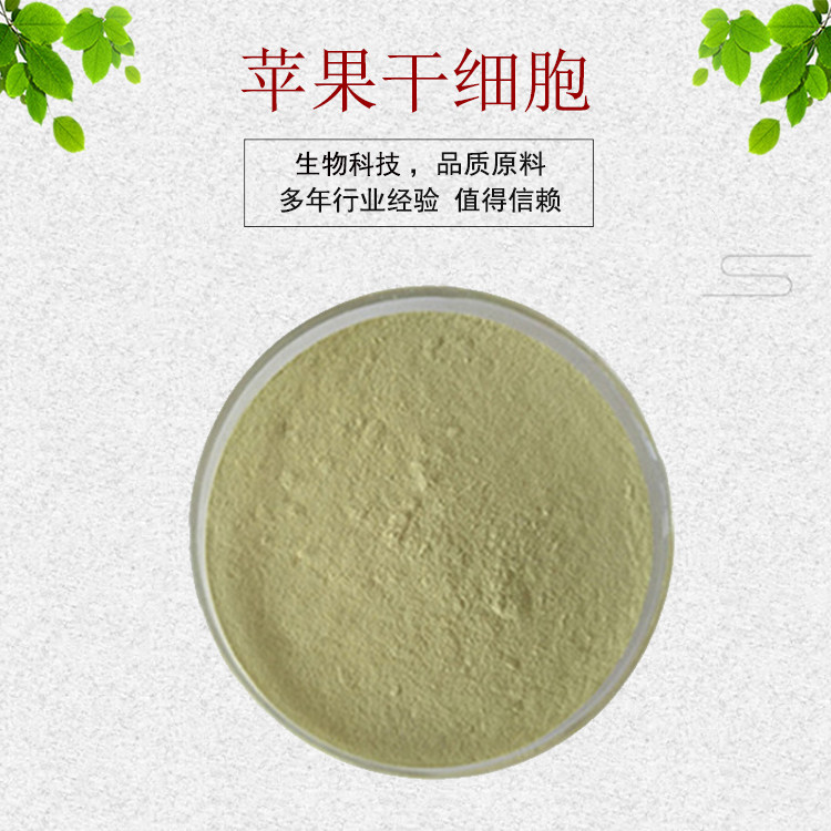 苹果干细胞98% 破壁干细胞 苹果多酚 苹果粉 水溶性佳 现货包邮