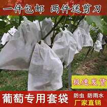 Grape bagging household bag open-air fruit special paper bag anti-bird insect waterproof fruit lotus fog fruit bagging