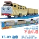 TS-09 DISO
