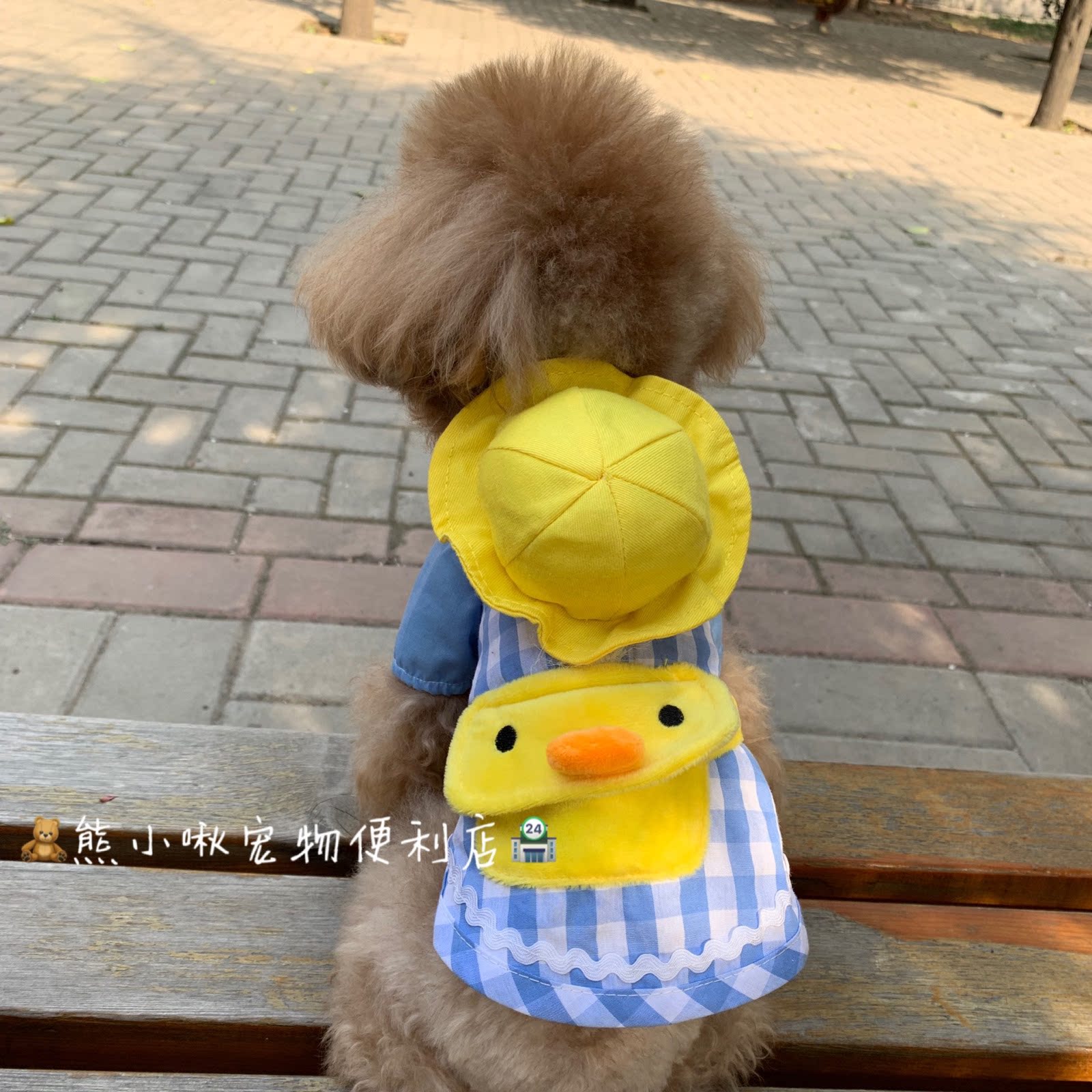 Bear Xiaoyu Kindergarten Package Pets Dog Clothes Cute Hat Teddy VIP Yorkshia