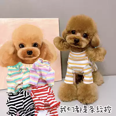 Pet cat and dog clothes color striped cotton base shirt wild wild match inside suit VIP Teddy