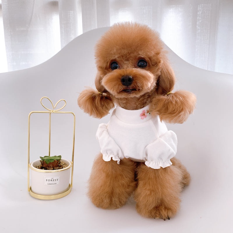  Pet Cat and Dog Clothes Pure Cotton Embroidered Puff Sleeve Base Layer Cute Versatile Close-Fitting for Poodle and Teddy Dogs