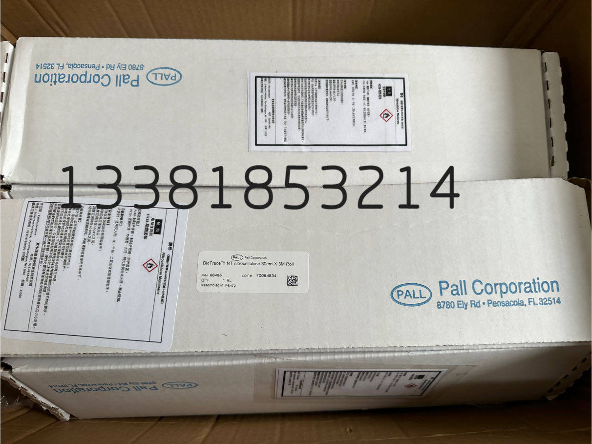 Cytiva PALL 0.2um硝酸纤维素膜NC膜66485/10600001PVDF膜BSP0161