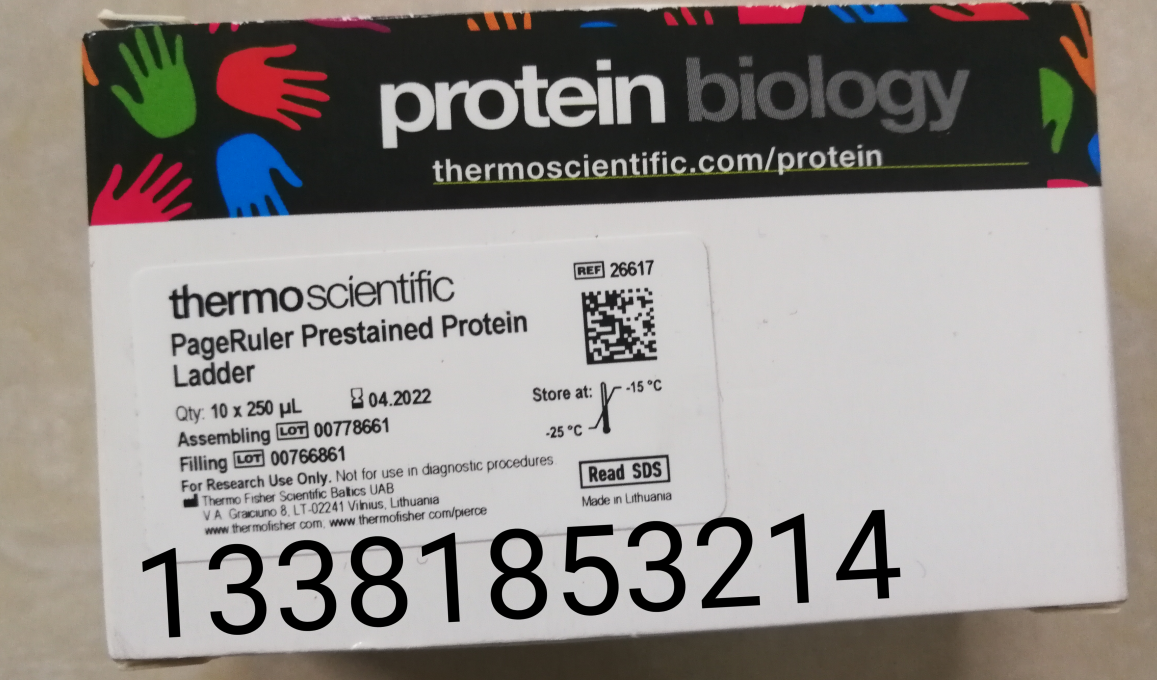 Thermo 26616 SM0671 26617 Pre-infected Rainbow Protein 250ul Branch Marker 10-170KD