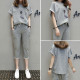 Plus size ສາວໄຂມັນວ່າງ slimming cropped pants ຊຸດກິລາ