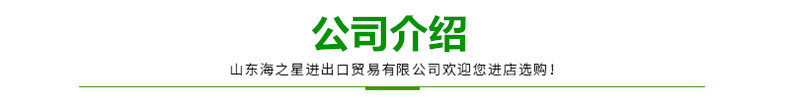 公司介绍