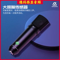 66 Babybottle SL-9 SL9A large diaphragm condenser microphone K song recording live broadcast special microphone