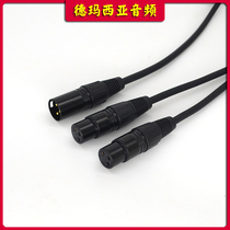 Double Cannon Mother-to-bill Cannon Public Double Cannon Go single Canon Wireless Microphone Microphone Microphone Receiver Wire