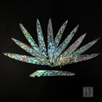 (New Zealand Seashell) Mother-of-pearl inlaid shell extremely thin lacquer painting material