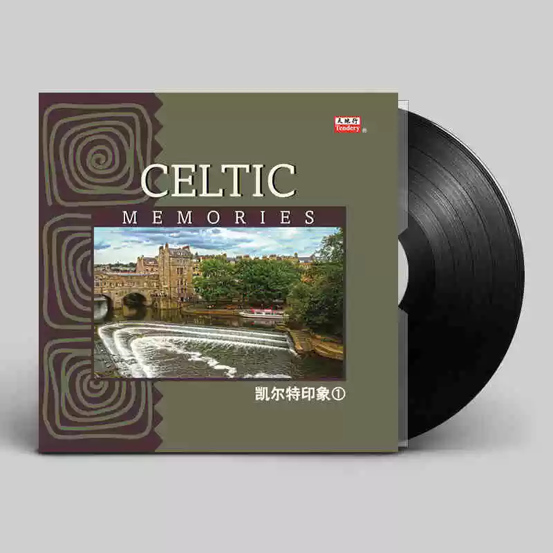 Ấn tượng Celtic Nhạc nhẹ Nhạc thuần túy LP vinyl Ghi âm máy quay đĩa 12 inch album đặc biệt 33 vòng / phút - Máy hát