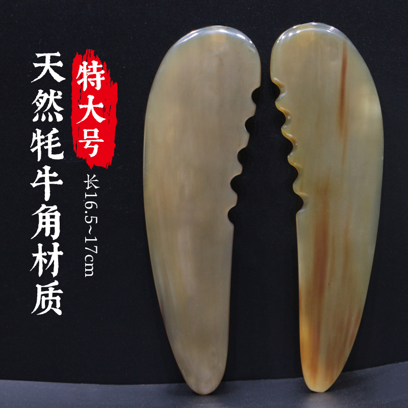 Natural white yak horn leg scraping plate on the back of the neck and neck - wide large body