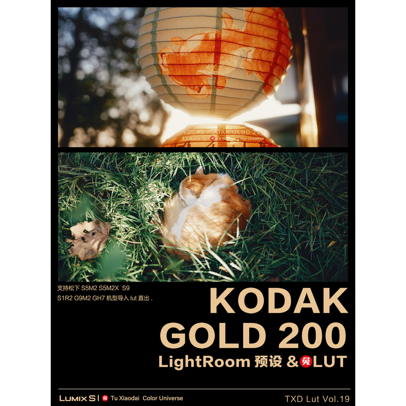 Vol.19 Kodak Gold 200 Film Simulation Presets & Luts Ps Lr Davinci S5M2/X S9