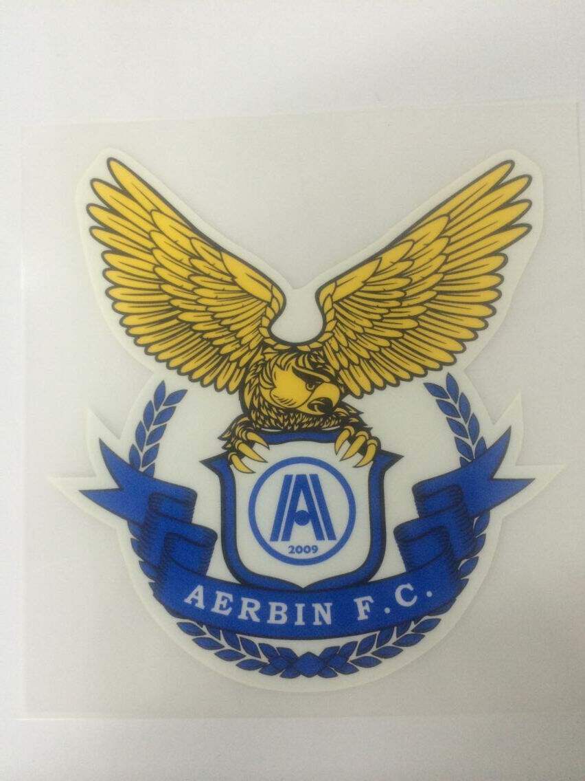 CDC 2013 2014 Dalian Albin Player Edition hot spot sports clothing