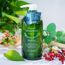 Japan Bear Wild Grease Plant Salon without silicon control Oil-proof hair shampoo for men and women to disdain for persistent incense