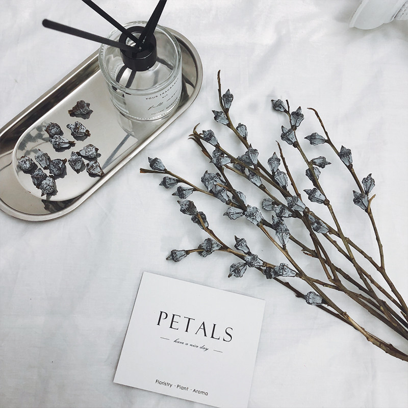 Yugali fruit dried flower bouquet natural eucalyptus fruit living-room flower arrangement diy with floral material really floral Nordic art