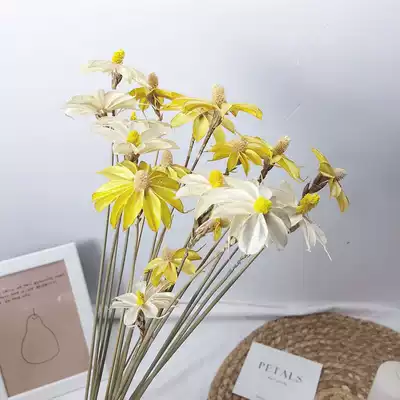 Wenxin orchid natural plant handmade art dry flower small Daisy home decoration flower arrangement hipster