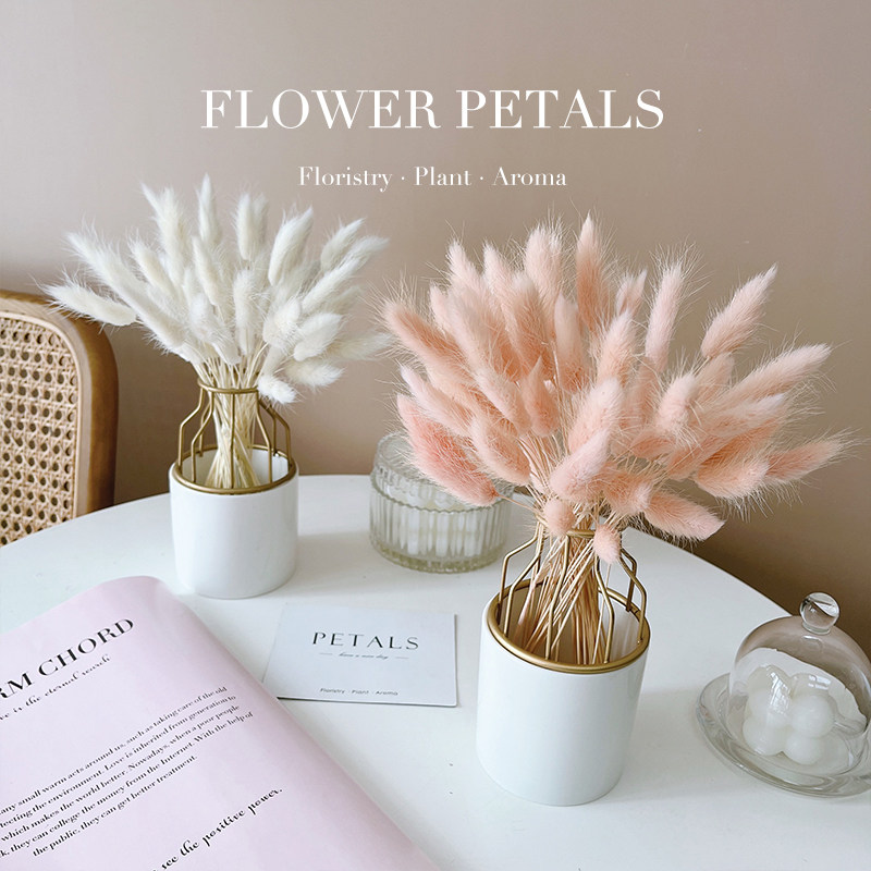 Reed Rabbit Tailgrass Snowpine Evergreen Flowers Dried Flowers Bouquet Vase Pendulum with light lavish Nordic Bedroom Balcony Tabletop Furnishing-Taobao