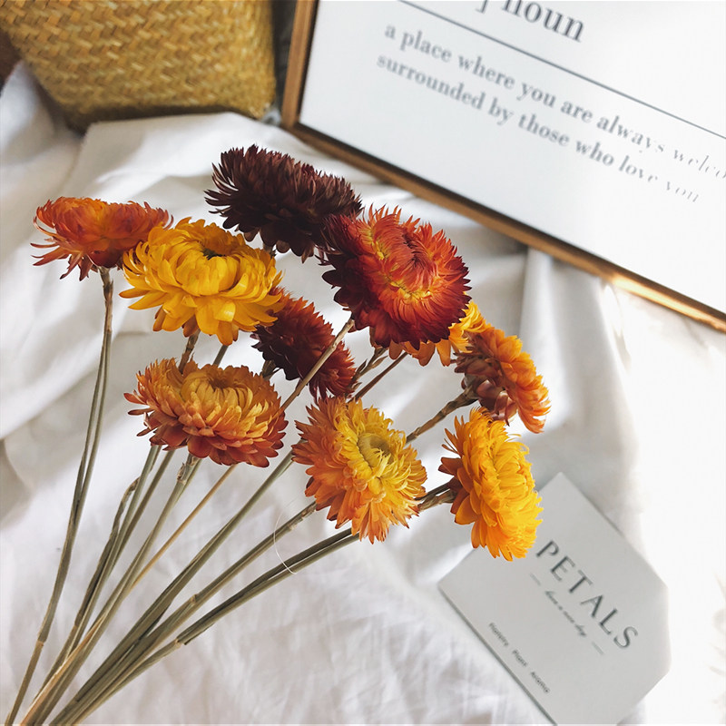 Wheat straw Chrysanthemum Natural Dry Flowers Bouquet Colorful chicks Chrysanthemum Home Furnishing Living-room Decorated Flower Arrangement Small Freshener