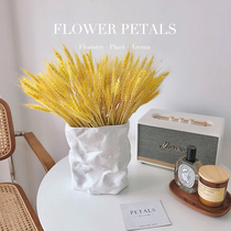 Natural wheat ears dry flower bouquet golden barley wheat Living room Garden Decoration Vase Swing for opening festive delivery