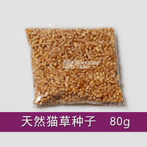 Cat grass seeds 80g self-planting accessories to remove hair ball cleaning teeth natural cat grass cat snack supplies catnip