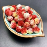 Цветные бусины Bayberry 10-14 мм, фантомный градиент цвета, абс, перфорированный искусственный жемчуг, сделай сам, материал для бисера ручной работы, свободные бусины