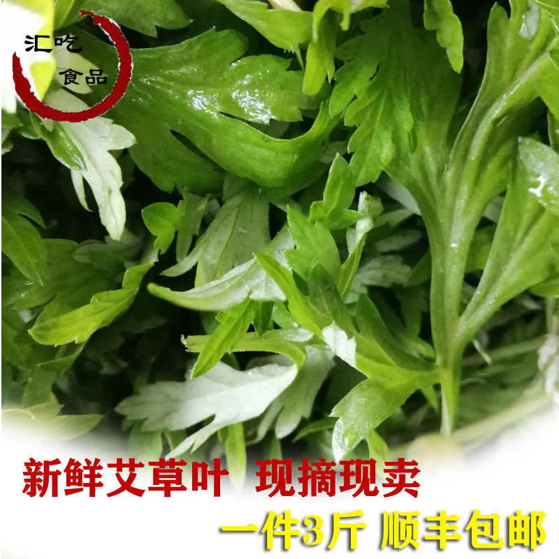 Meizhou specialty Fresh wormwood leaves Edible raw wormwood leaves Dried wormwood leaves Quba wormwood banan Wild wormwood leaves Grass green group