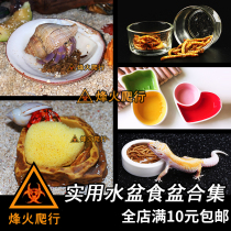 Practical water basin food basin collection hermit crab bathing basin anti-drowning reptile hamster pet anti-escape ceramic basin