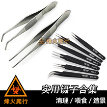 Practical tweezers collection anti-static high-precision hermit crab water reptile crawler crawling pet feeding tools for cleaning feces