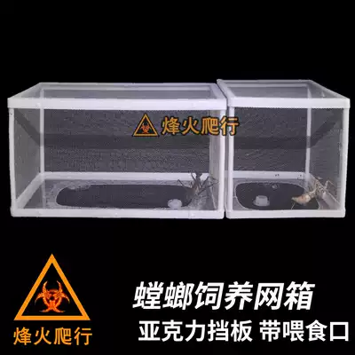 Mantis feeding box Net bamboo sputum egg sheath hatching feeding box cricket insect net cage butterfly feather box