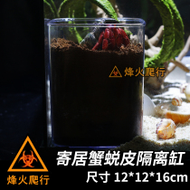 Hermit crab molting isolation tank ecological tank cylinder set landscape prevention disturbance help peeling breeding package scientific crab breeding