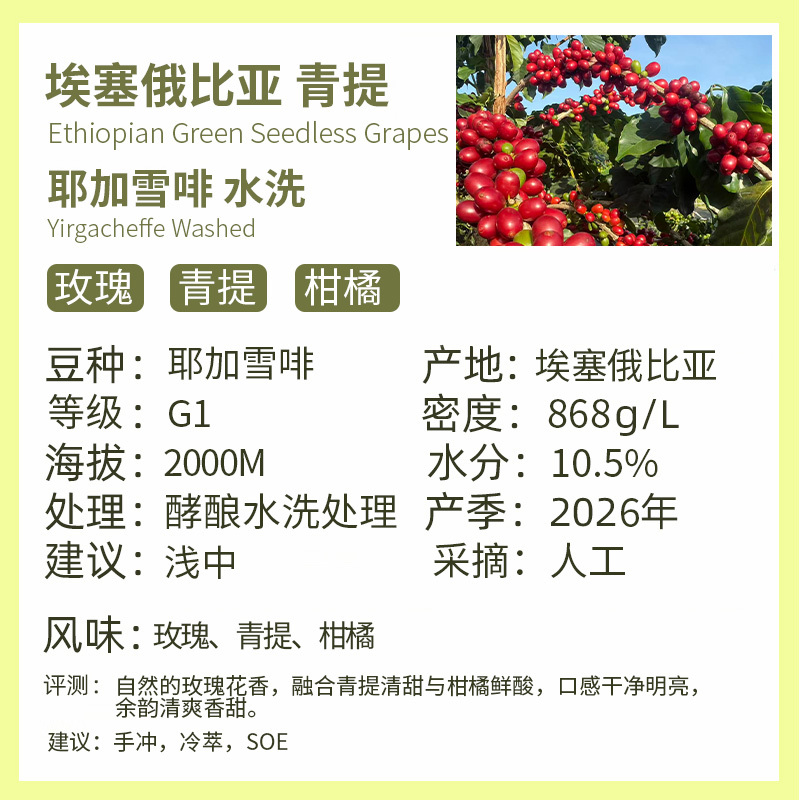 26Th Crop Season 1000g Ethiopian Yirgacheffe Green Tea Rose Yeast-Fermented Hand-Brewed Coffee Beans