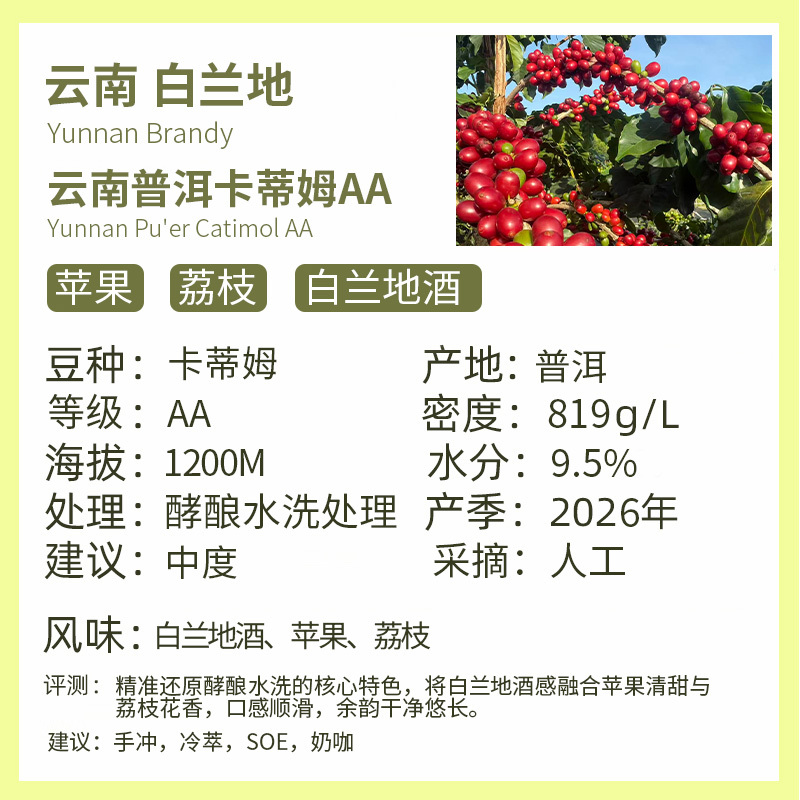 26Th Crop Season 1000g Yunnan Pu'Er Kattim Aa Brandy Aroma Washed Hand-Brewed Coffee Beans