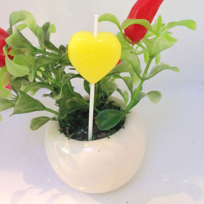 Bougie - Ref 2490381 Image 8