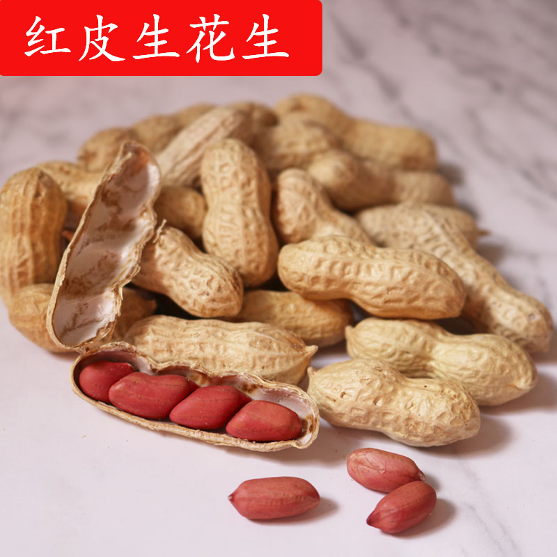 Fresh raw peanuts shelled squirrel chinchilla molar snacks flying squirrel hamster food feed interactive staple food