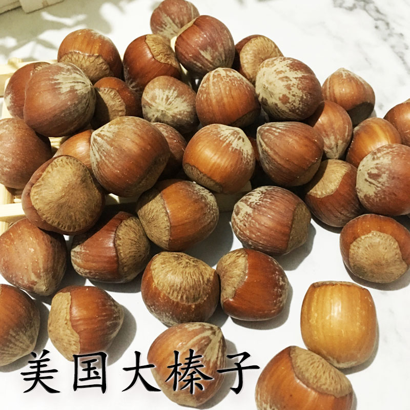 Squirrel Big Eye Flying Mouse Food of American Hazelnuts Raw Nuts Wang Huanghuang Mountain Grinding Food Standard Food