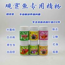 Yellow Pink Metronidazole Rotten Tail Enteritis White Dot Water Group Sick Ornamental Disease Therapeutics Enemies Thyme Methi Blue