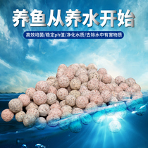  Nano quartz hollow ball fish tank filter material Filter material Hollow cultured bacteria ball bacterial ball cultured bacteria filter cartridge filter material