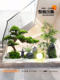 Artificial Welcoming Pine Green Plants and Fake Trees for Indoor Duplex Villa Staircase Decoration, Landscape Plants, and Rockery