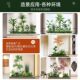 Simulated green plant landscaping combination shopping mall window indoor potted landscape plant landscaping layout decorative ornaments fake tree